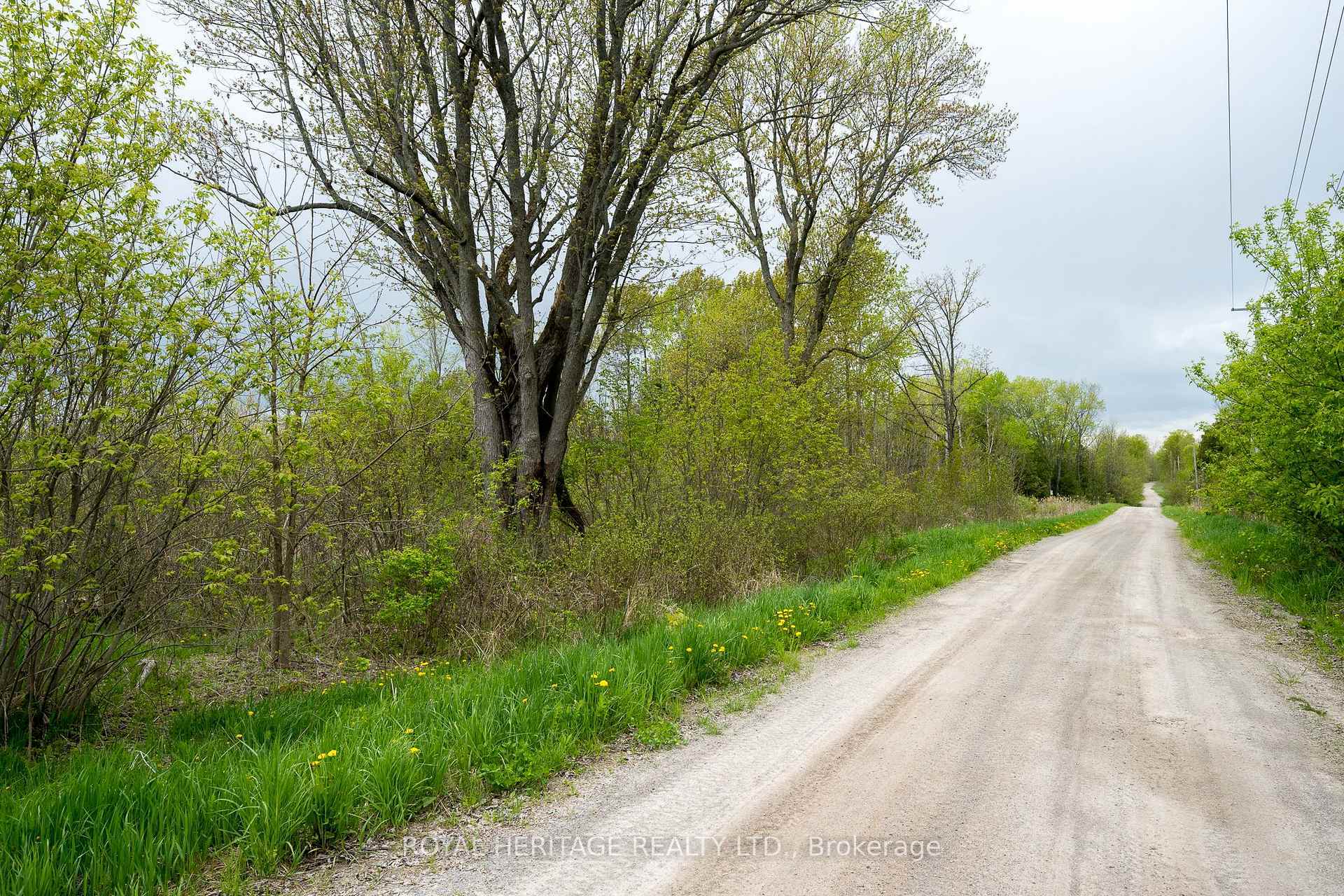 Property Photo:  0 Acreman Road  ON K0K 2K0 
