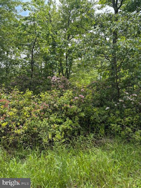 Property Photo:  0 East  PA 16829 