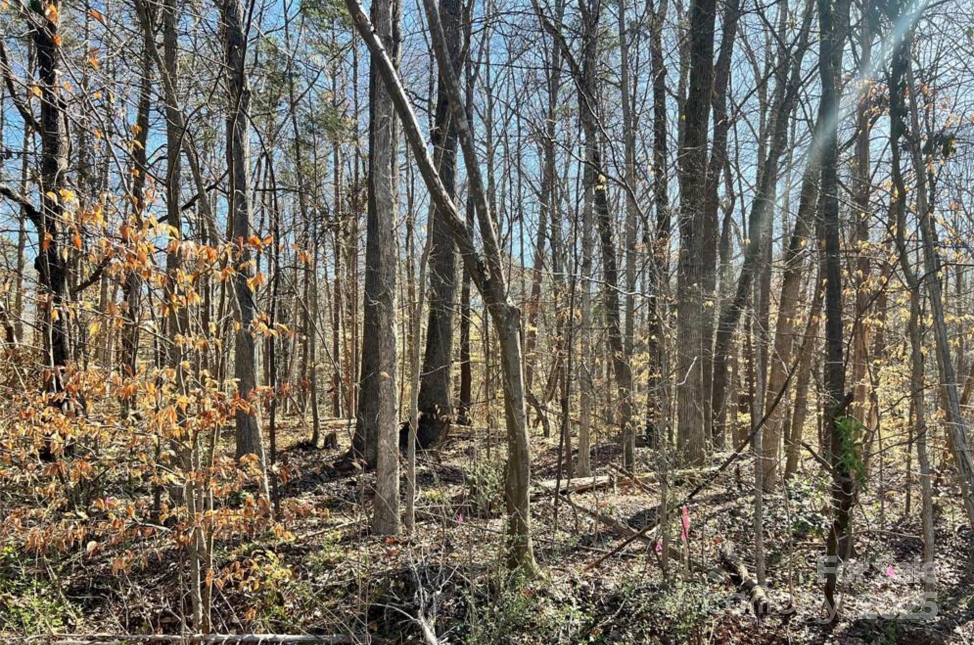 Property Photo: 01 Lurecliff Place SC 29708