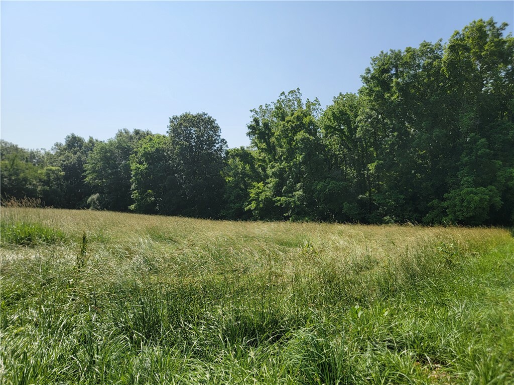 Property Photo: Co Hwy 6 Highway IL 62565