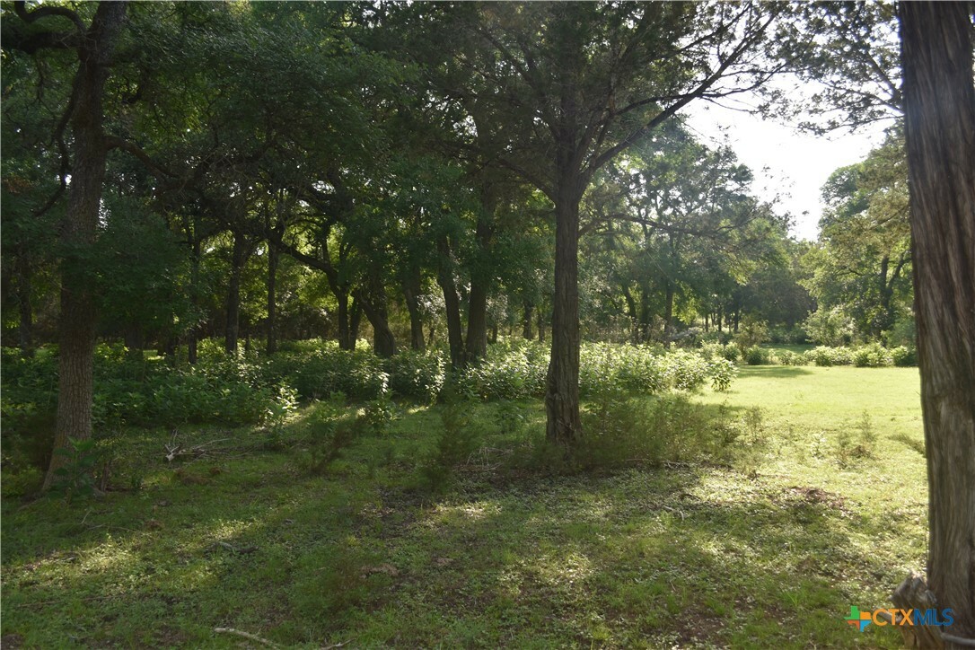 Property Photo:  18661 Wolfridge Road  TX 76549 