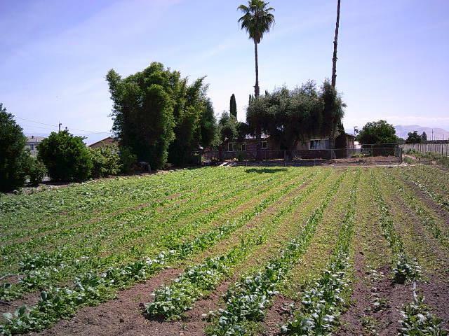 582 N Academy Avenue  Sanger CA 93657 photo