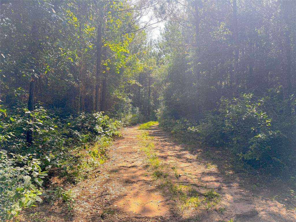 Property Photo: 0 County Road 2650 TX 77327