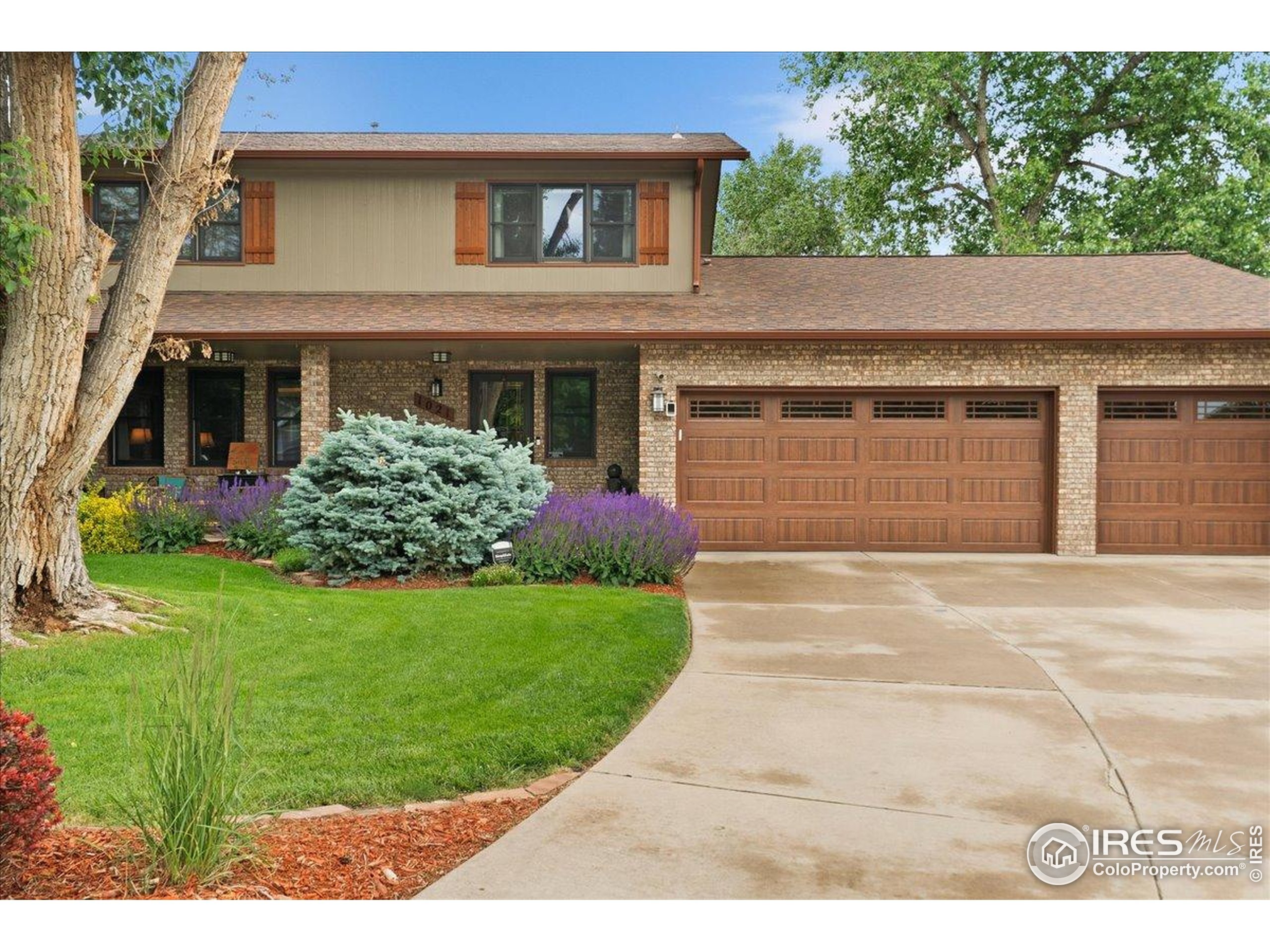 1021 Pinyon Dr  Windsor CO 80550 photo