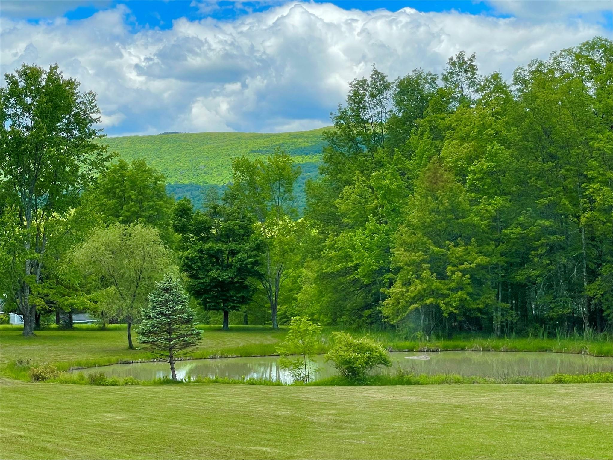 Property Photo:  71 Saddleback Ridge Road  NY 12589 