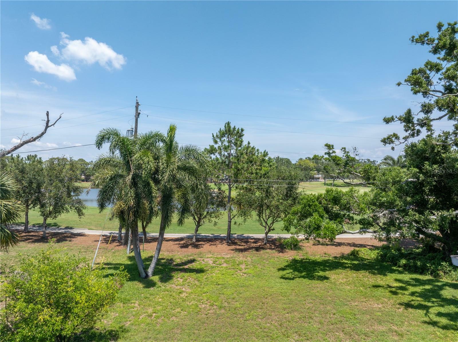 Property Photo: 167 Almedo Way NE FL 33704