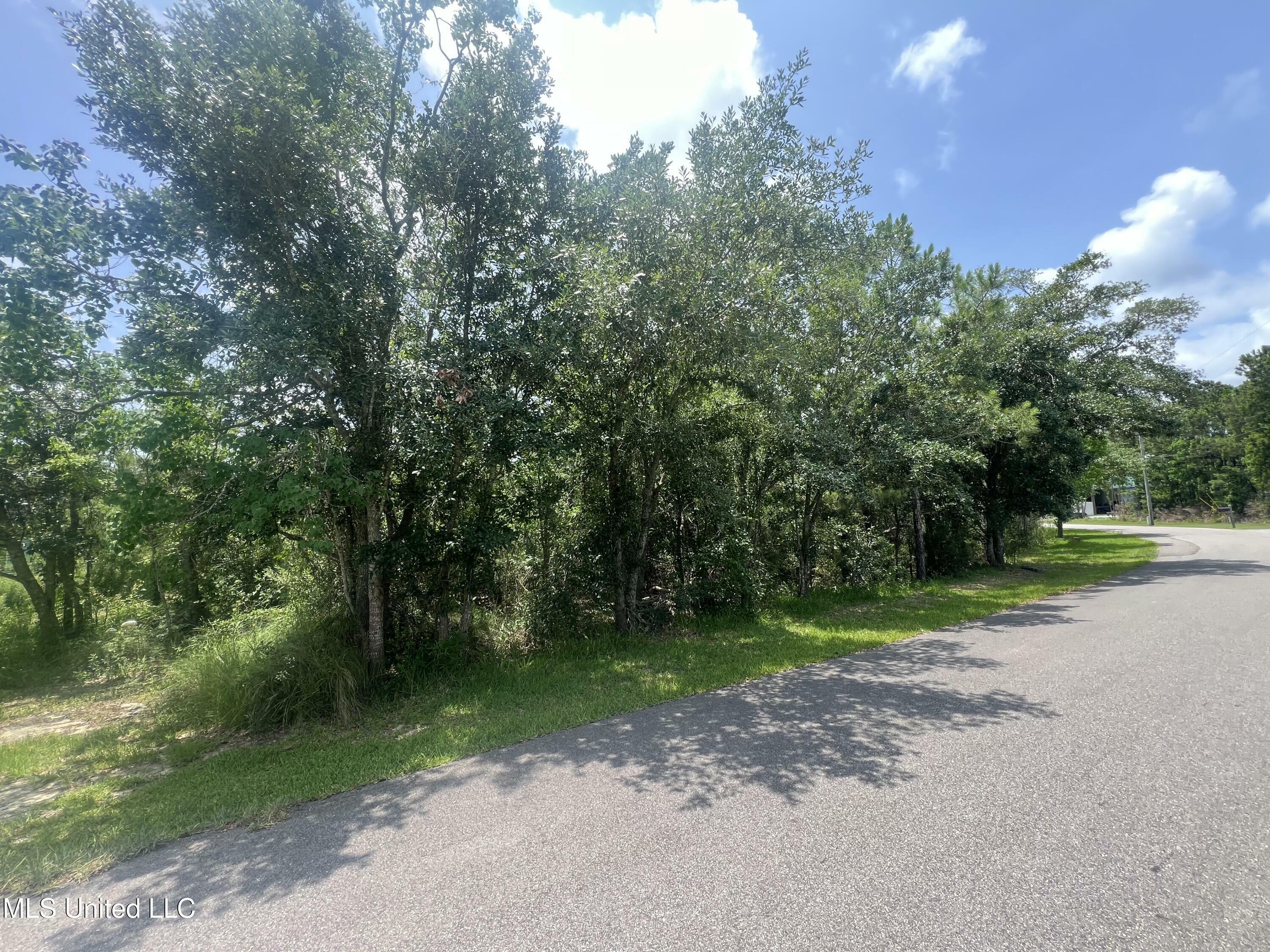 Property Photo: Nsn Indiana Street MS 39520