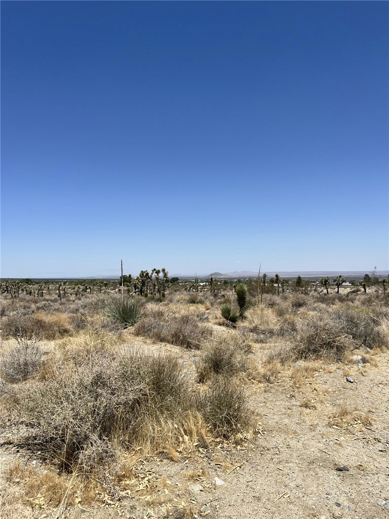 Property Photo: 0 Pine Tree Road CA 92372