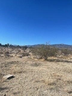 Property Photo:  0 Pine Tree Road  CA 92372 