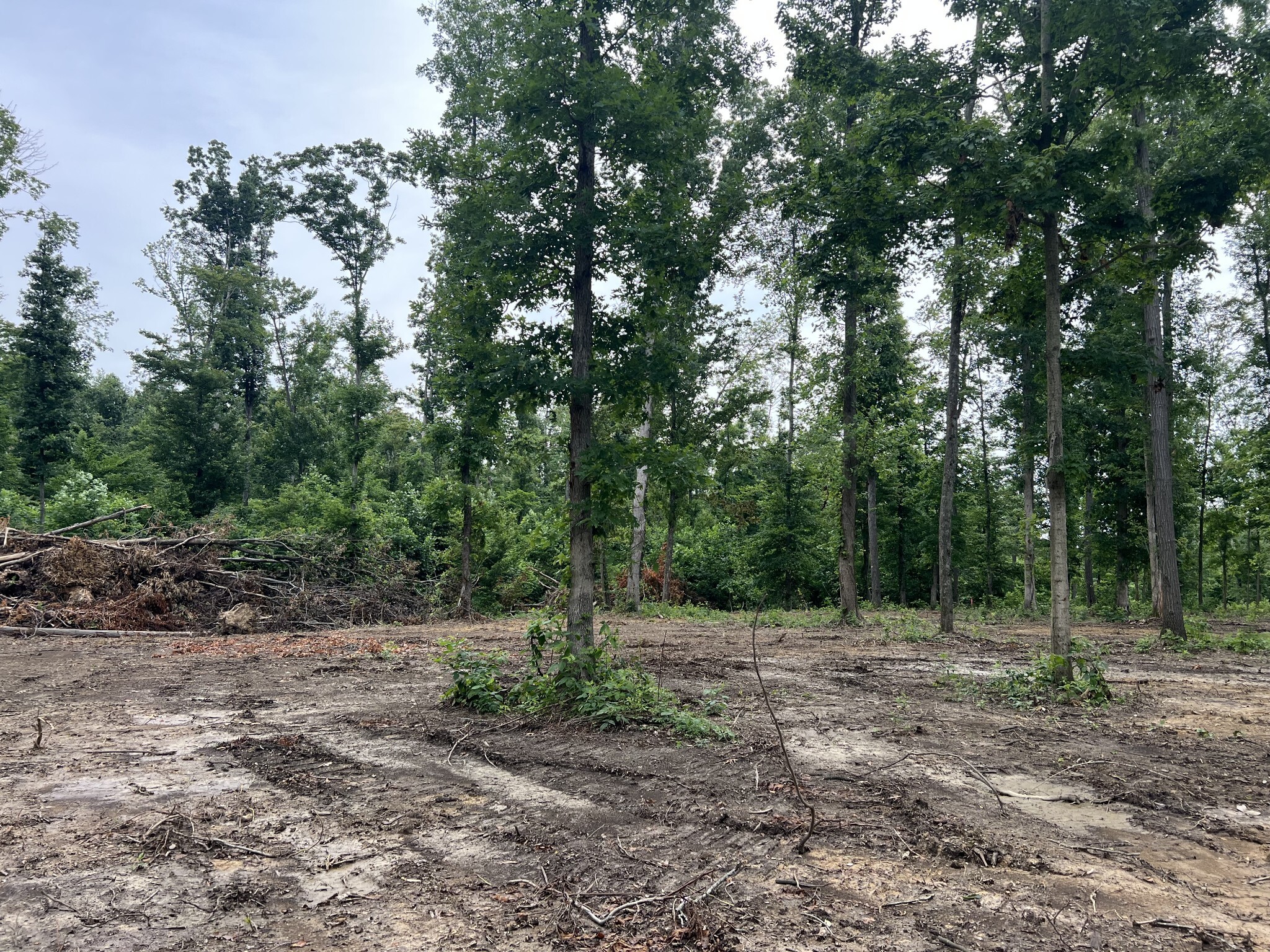 Property Photo:  27 Annie Hollow Rd  TN 37186 