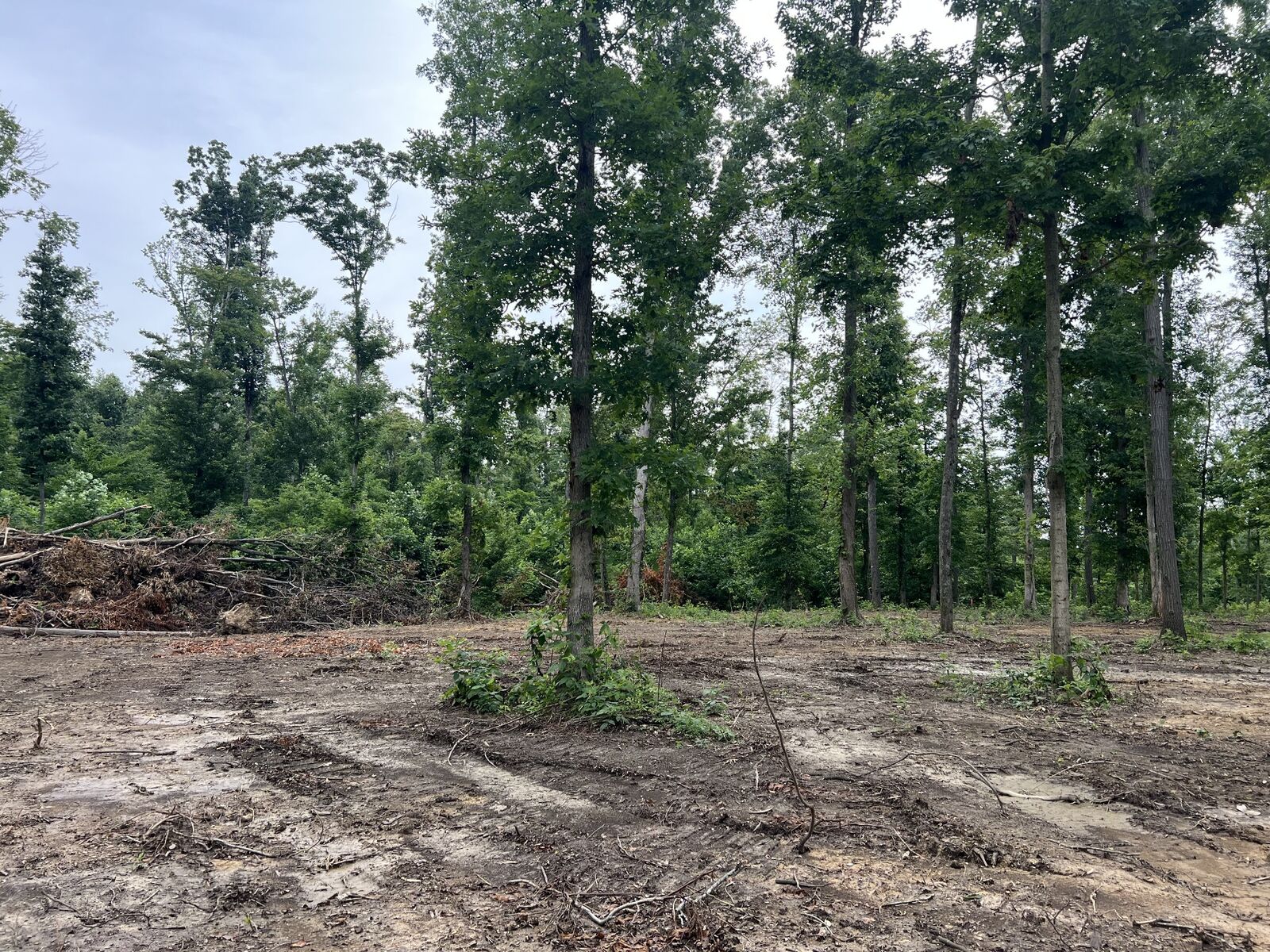 Property Photo:  27 Annie Hollow Rd  TN 37186 