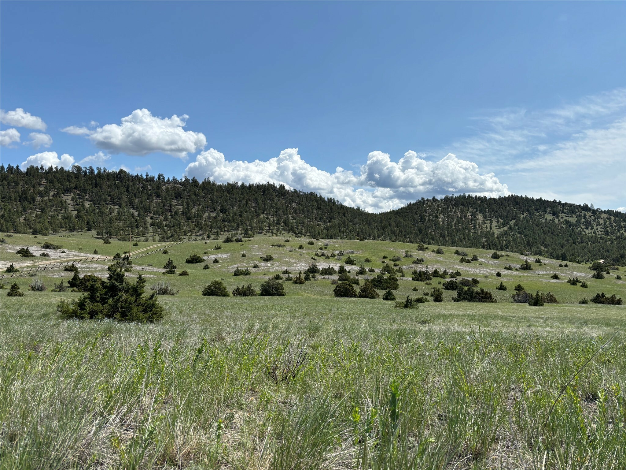 Property Photo:  6390 Emmett Road  MT 59601 