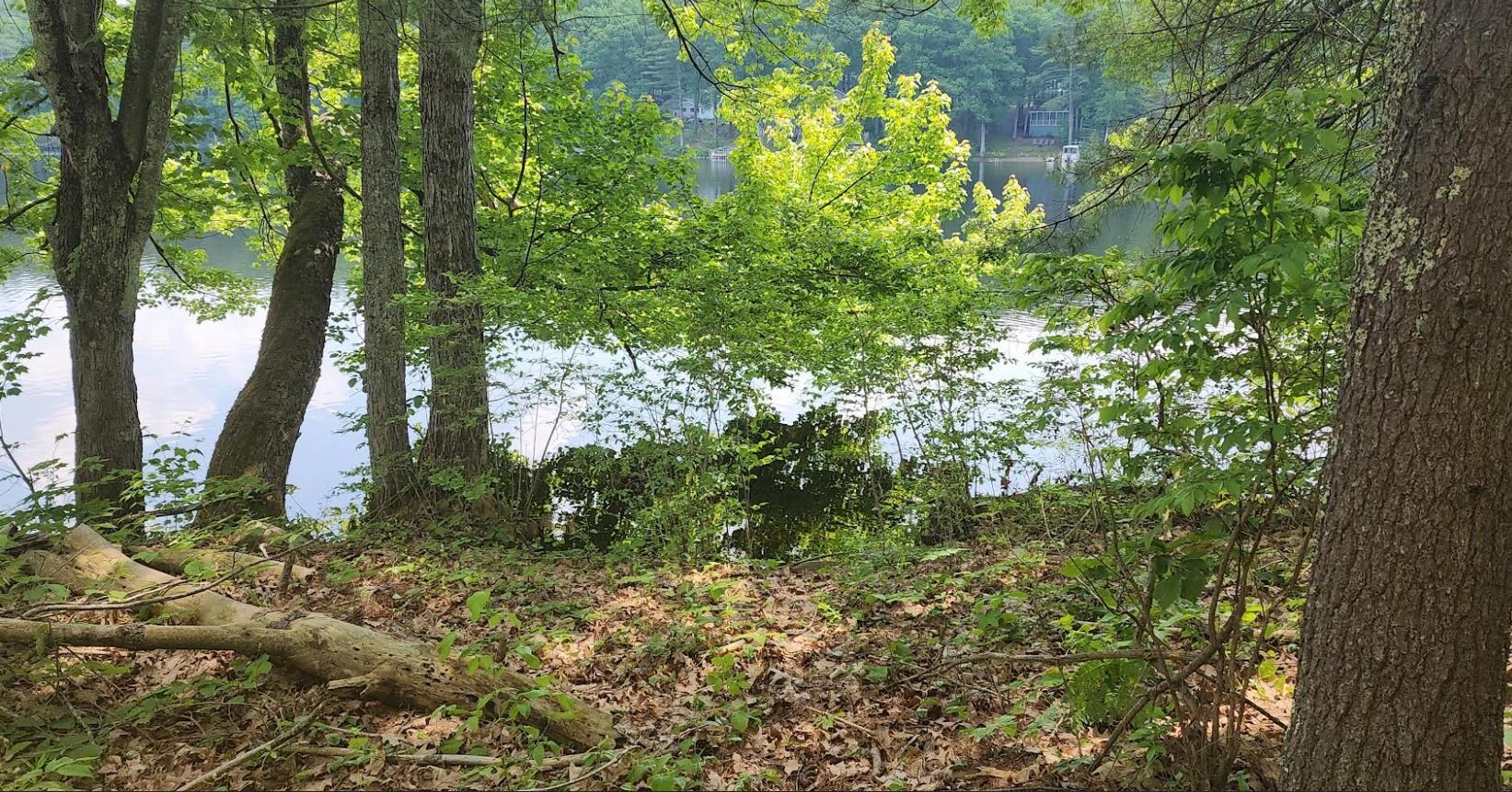 Property Photo: Long Shores Drive NH 03825