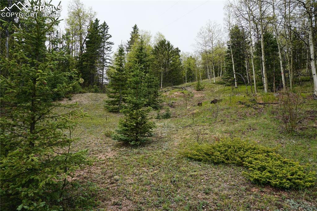 Property Photo: Vacant Land CO 80813