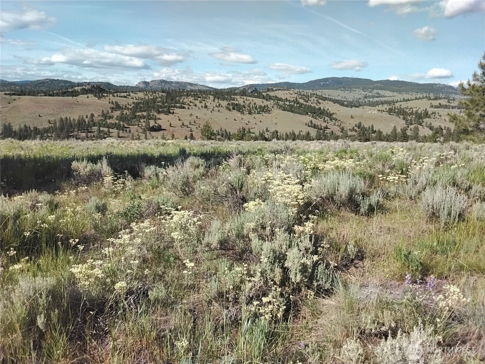 Property Photo: 0 Siwash Creek Road WA 98855