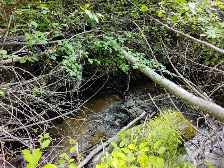 Property Photo:  0  Siwash Creek Road  WA 98855 