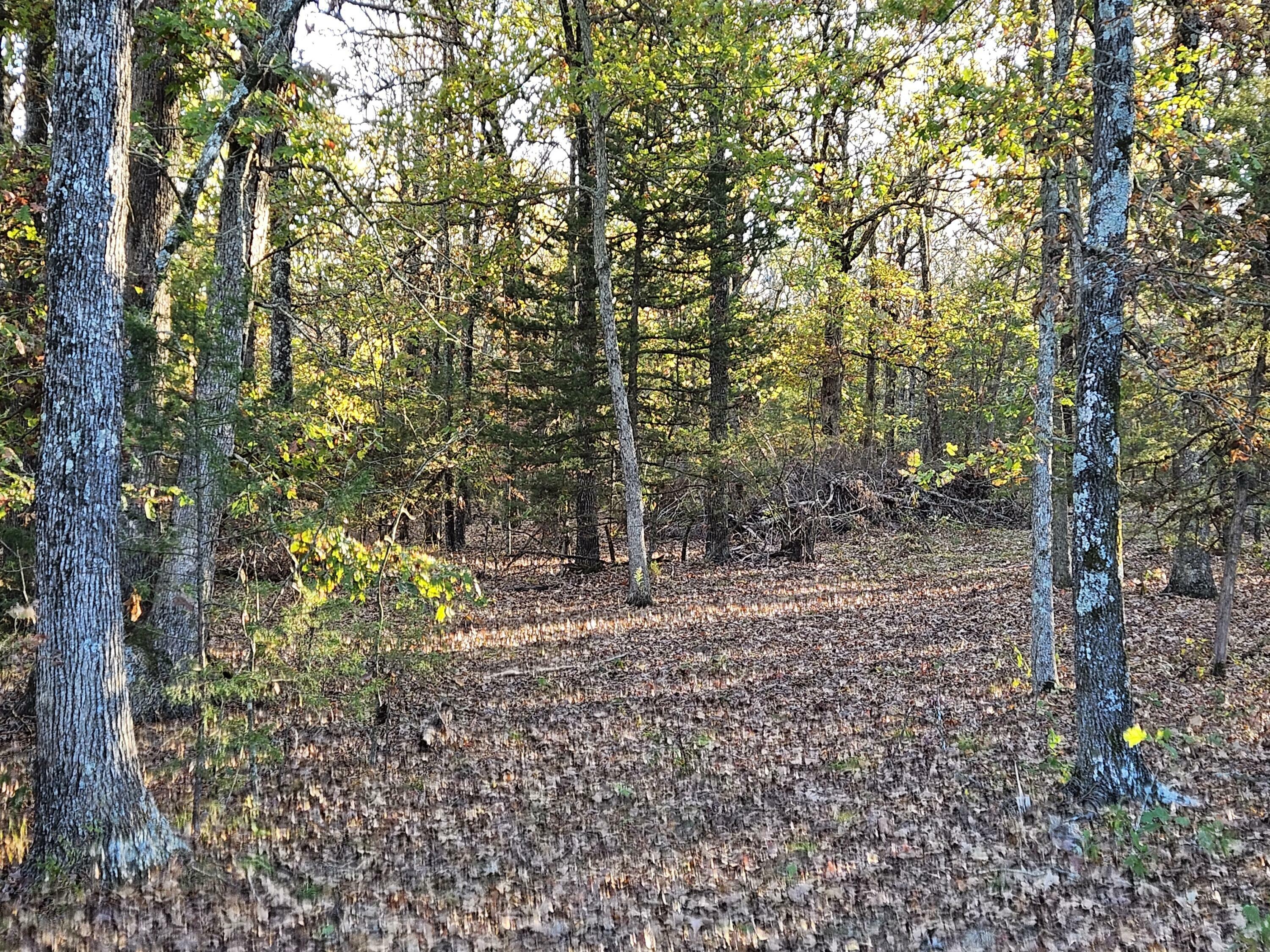 Property Photo: Tract 3 State Highway 174 MO 65705