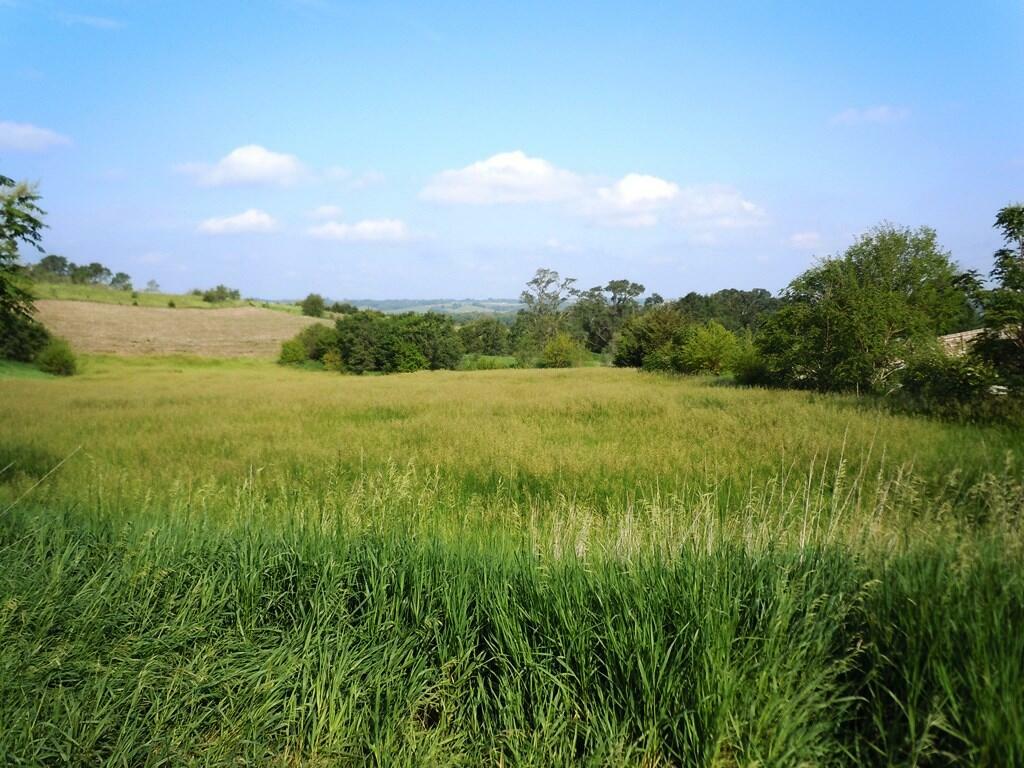 Property Photo: 0000 300th Street IA 51555