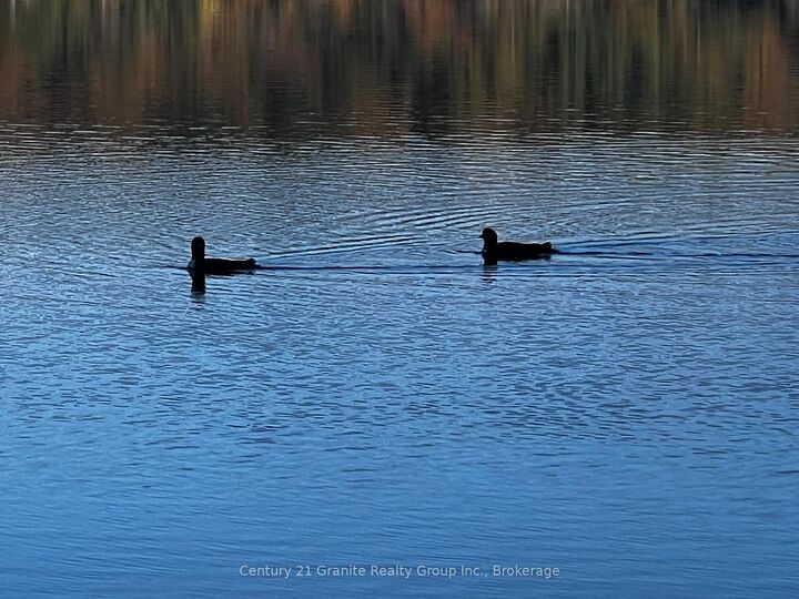 Photo de la propriété:  1141 Kanawa Lane  ON K0M 1S0