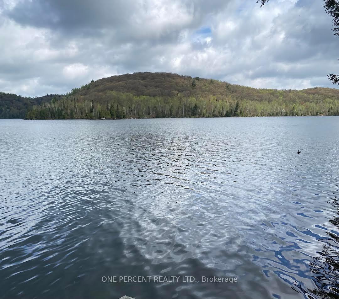 Property Photo: 393 Loon Lake Road S ON P0A 1M0