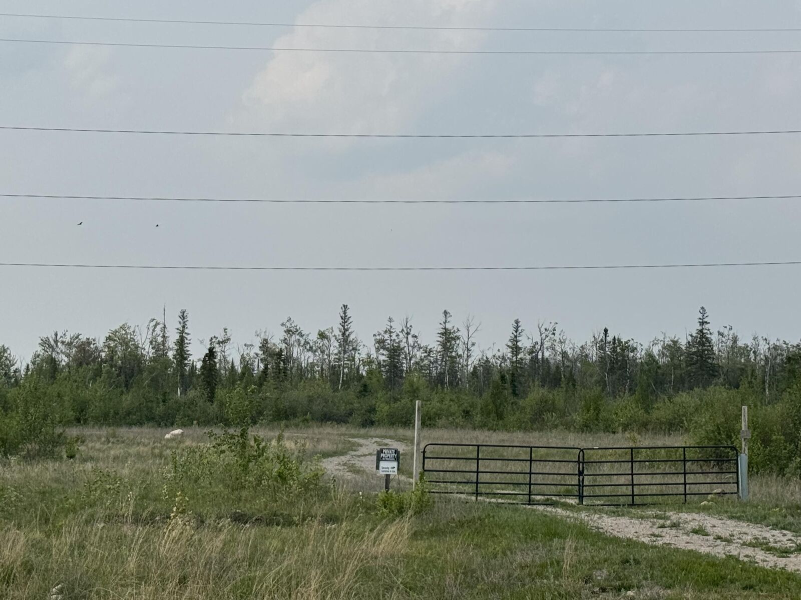 Property Photo:  US 23 South  MI 49776 