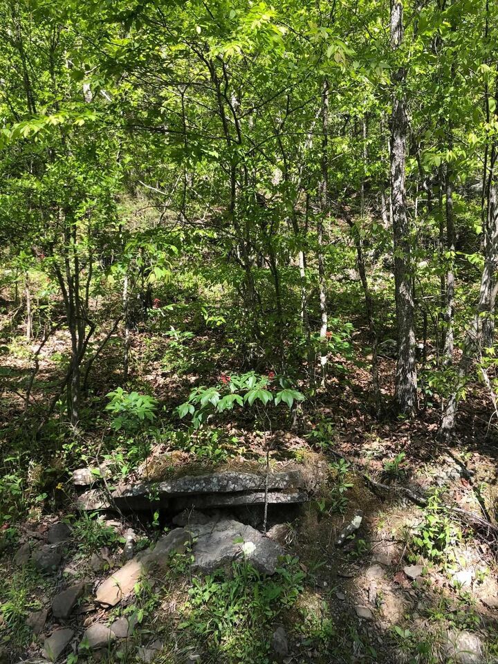 Property Photo:  Tract 14 Weldon Rd.  AR 72067 