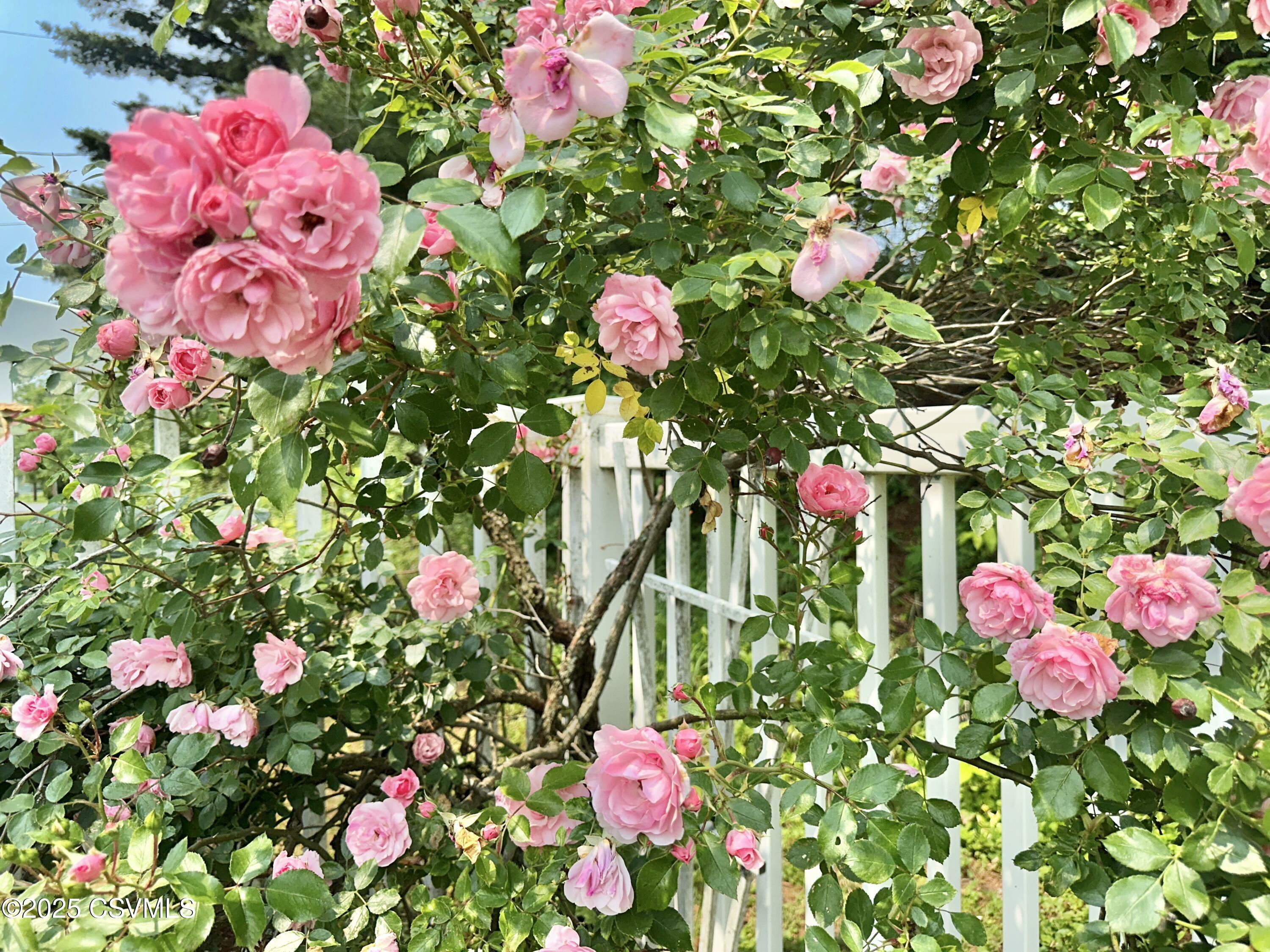 Property Photo: 2 E 11th Avenue PA 17876