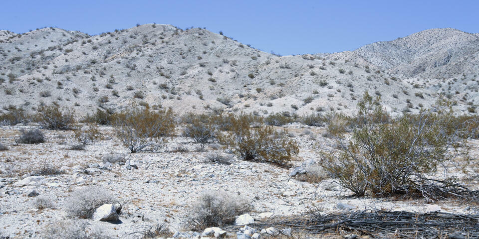 Property Photo: 1 Camino Zangiri CA 92241
