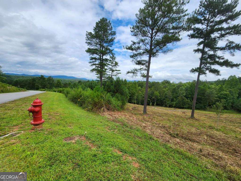 Property Photo: L231 Ridge Point Way GA 30512