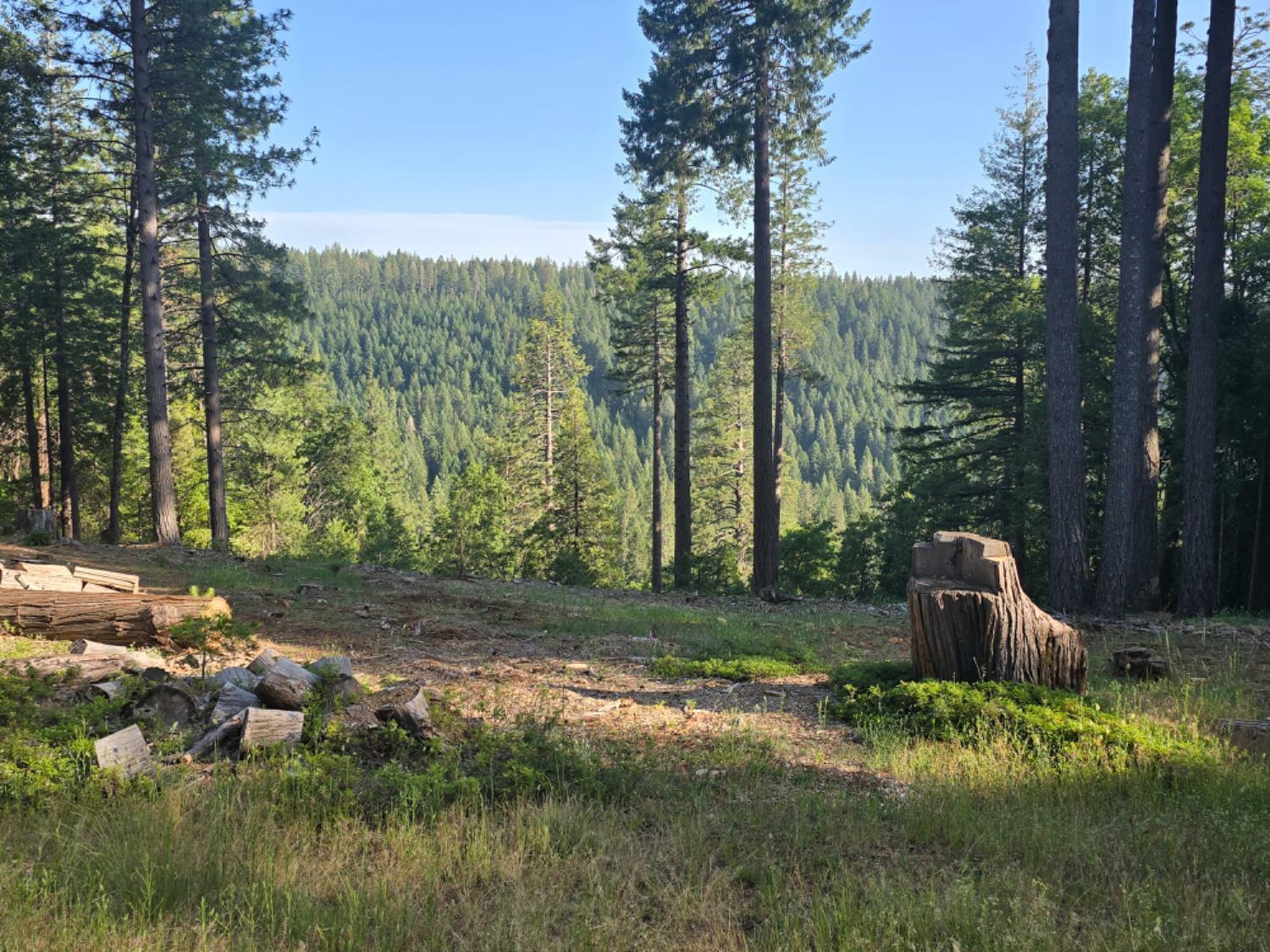Property Photo: 13907 Lightning Tree Road CA 95959
