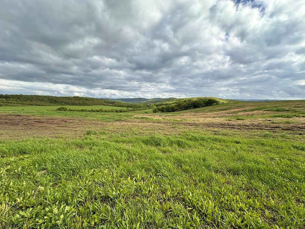 Property Photo: 2060 Rietter Hill Road PA 16950