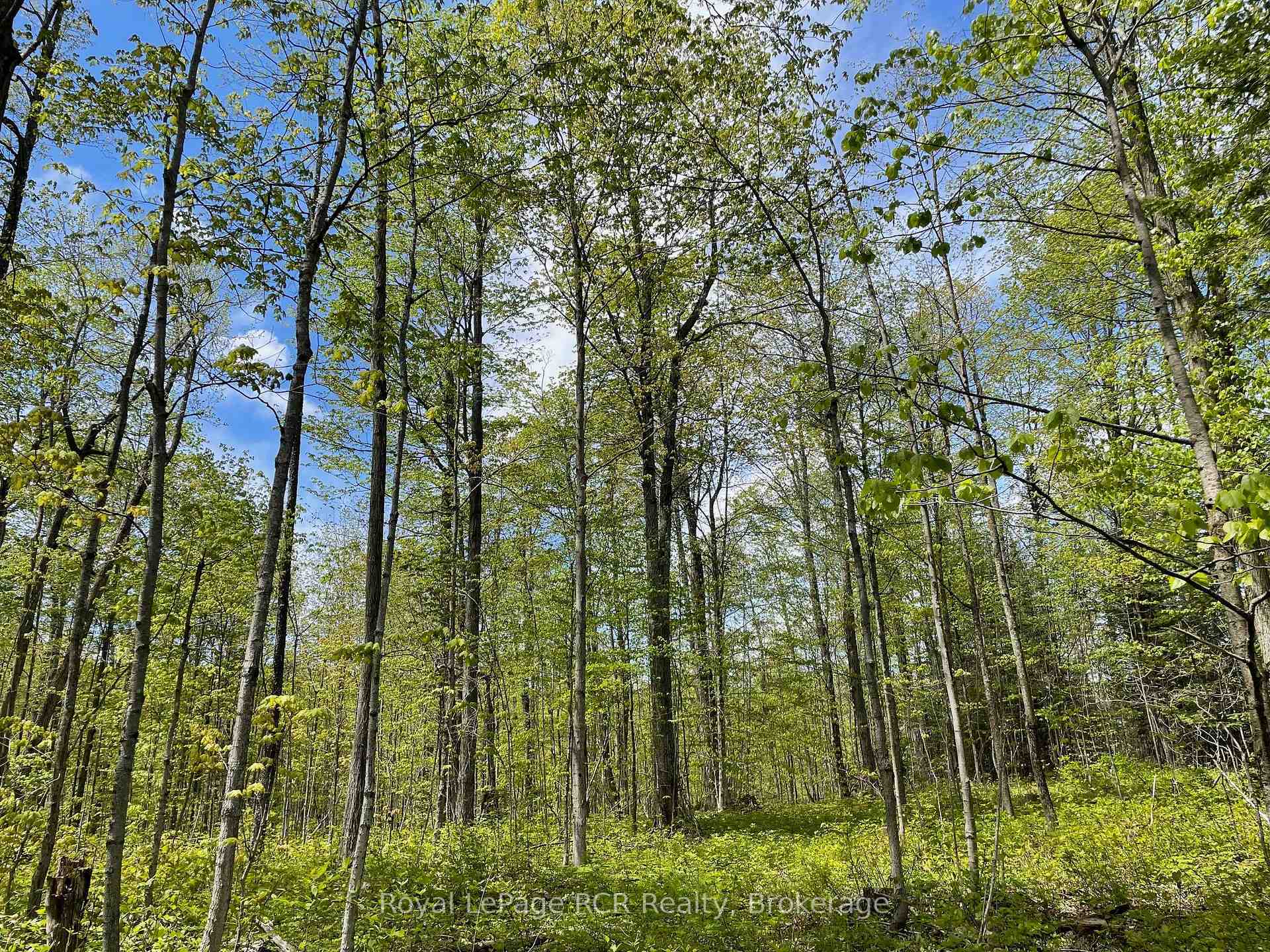 Property Photo:  N/A Concession 6 N/A  ON N0C 1K0 