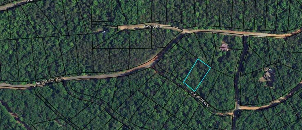 Property Photo:  Blk 33 Lot 06 Juniper Way  GA 31831 