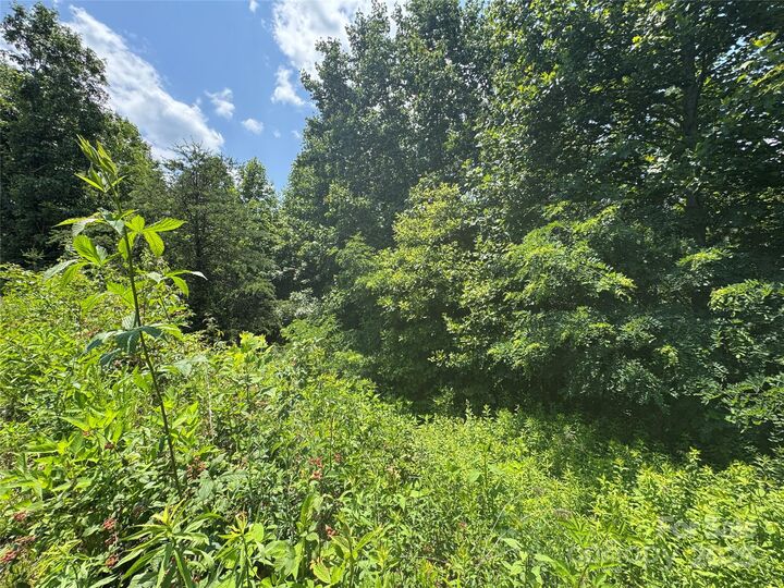 Property Photo: 0 Mountain Lookout Drive Lot 82 NC 28018