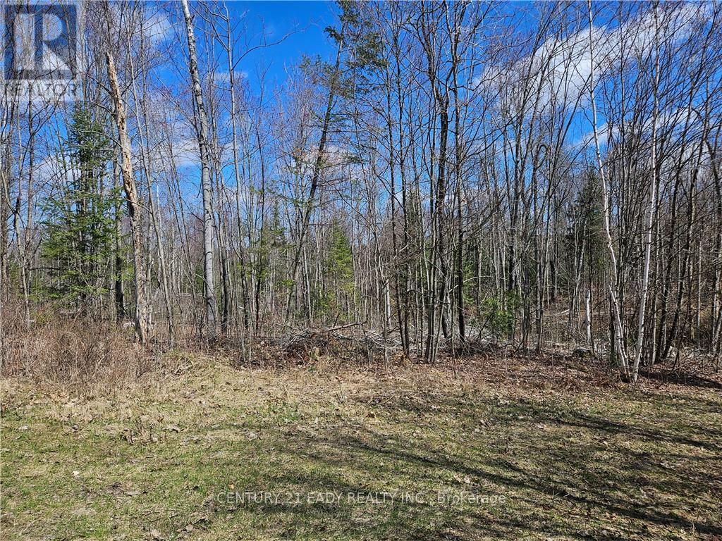 00 Dore Bay Road  North Algona Wilberforce ON K8A 6W5 photo
