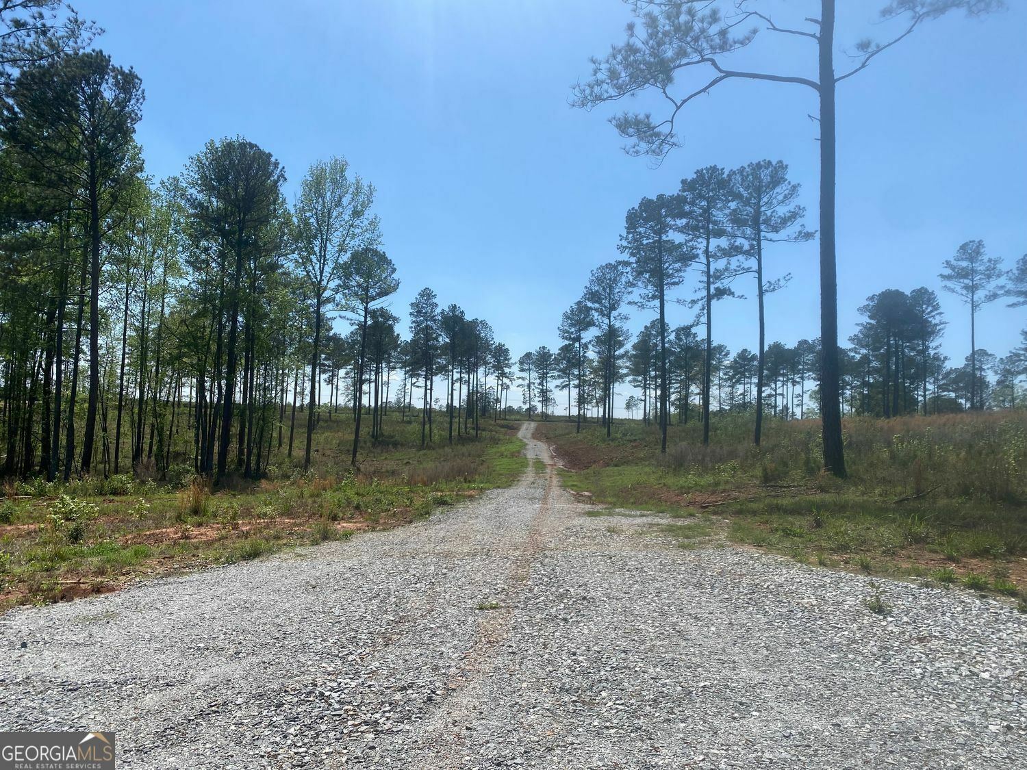 Property Photo: Lot 4 Giles Road GA 31029