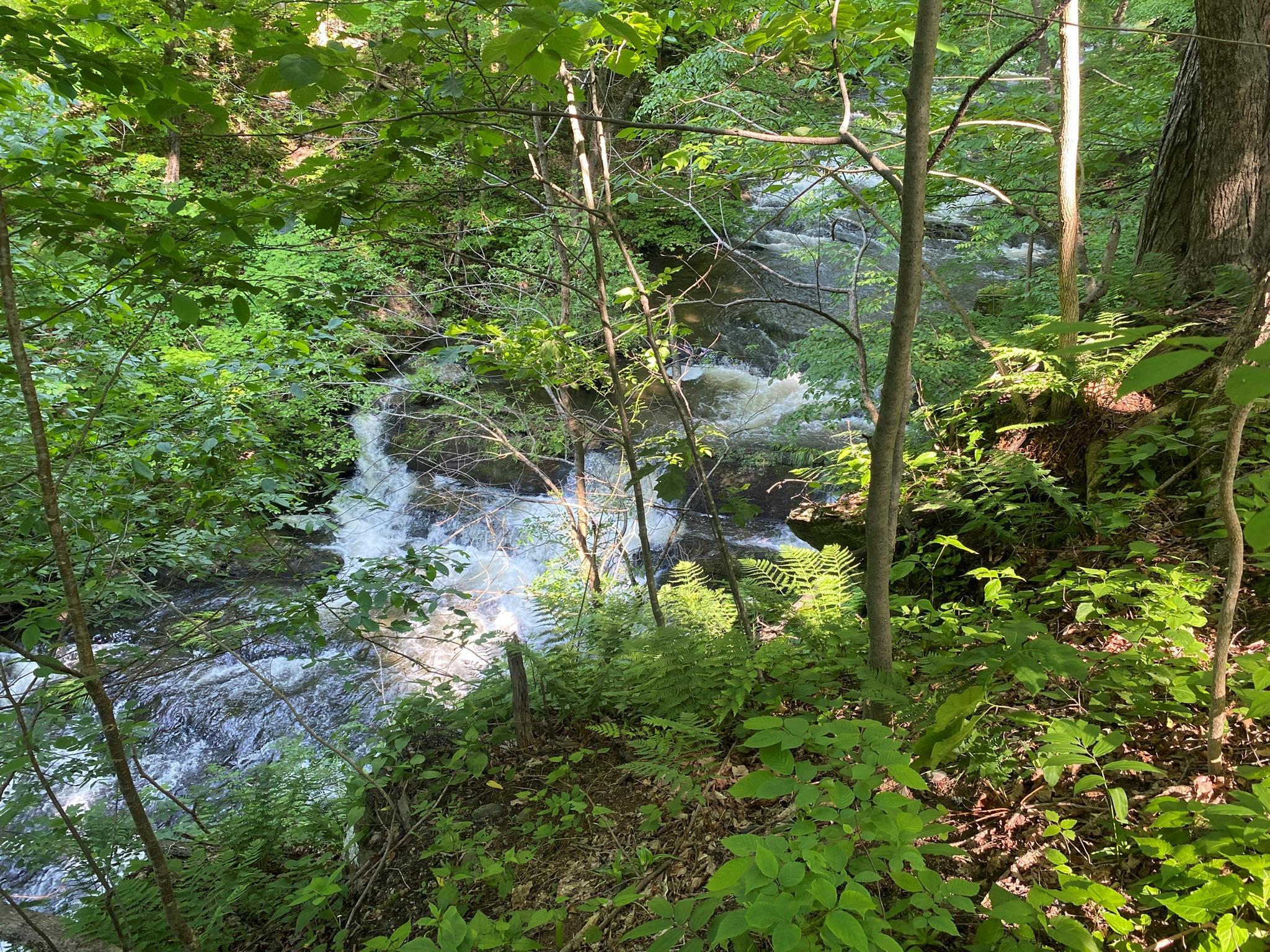 Property Photo: County Route 8 NY