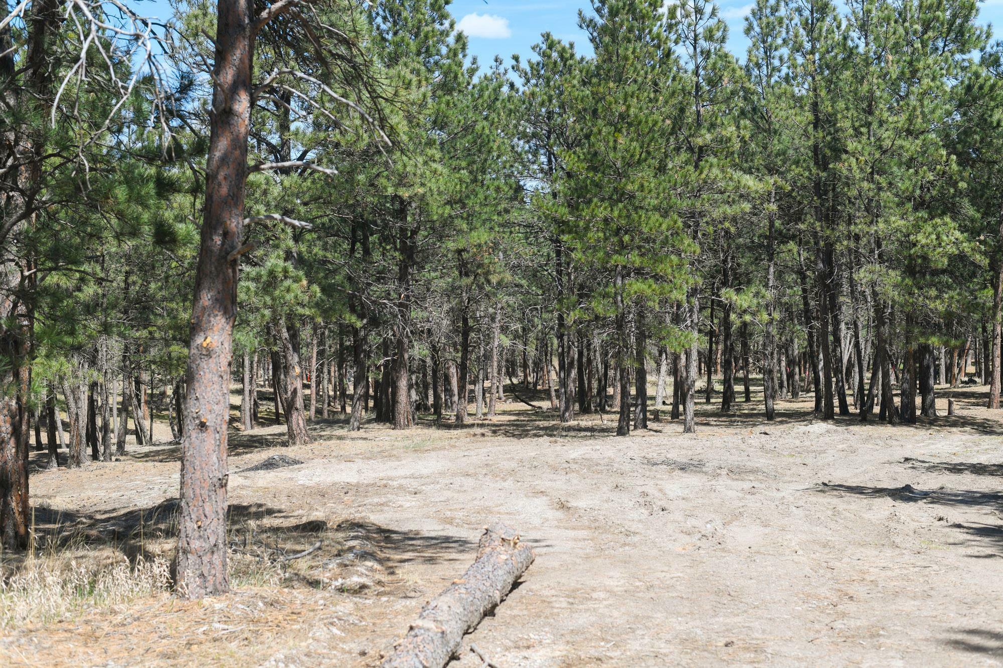Lot L1  Belle Fourche SD 57717 photo