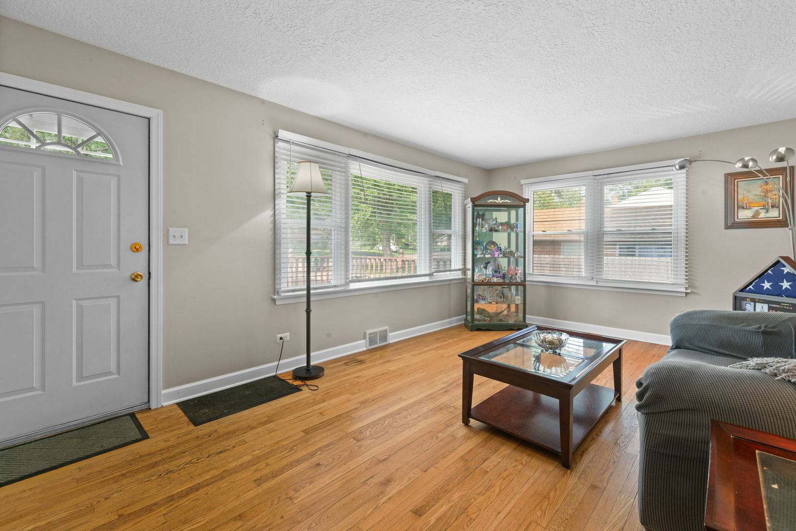 Property Photo: 219 W Crystal Avenue IL 60148