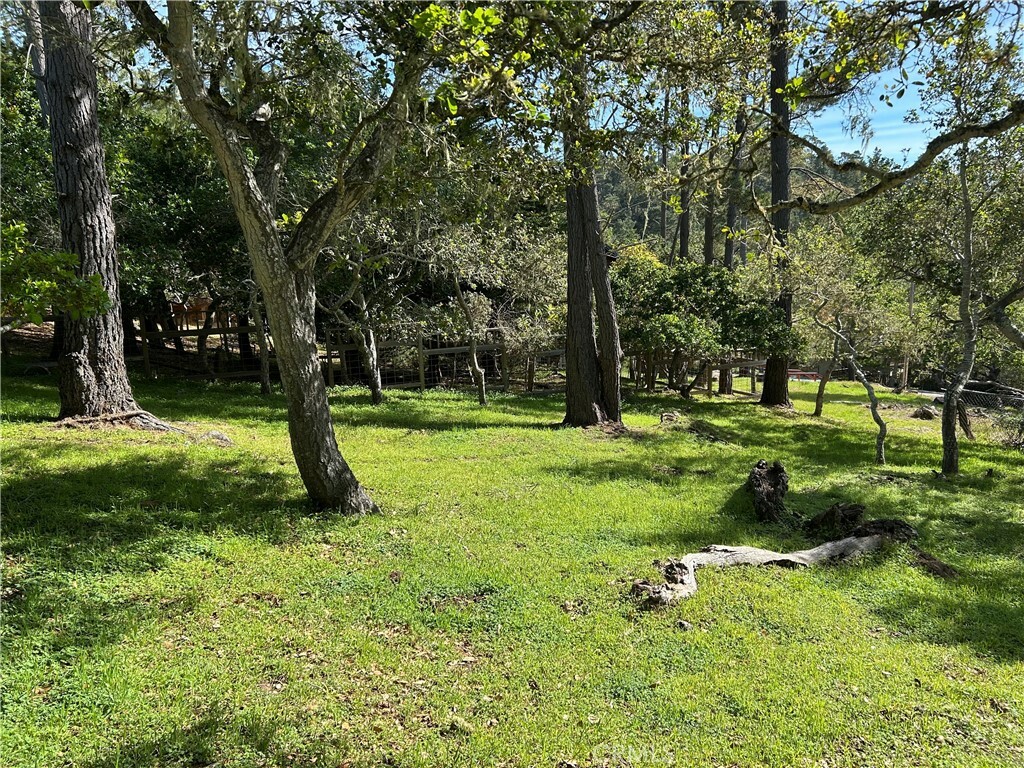 Property Photo:  0 Benson Avenue  CA 93428 