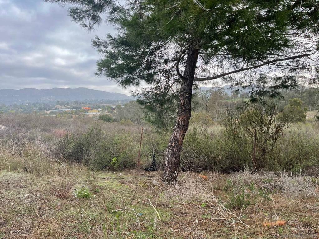Property Photo:  89 Yacoo Ct  CA 91935 