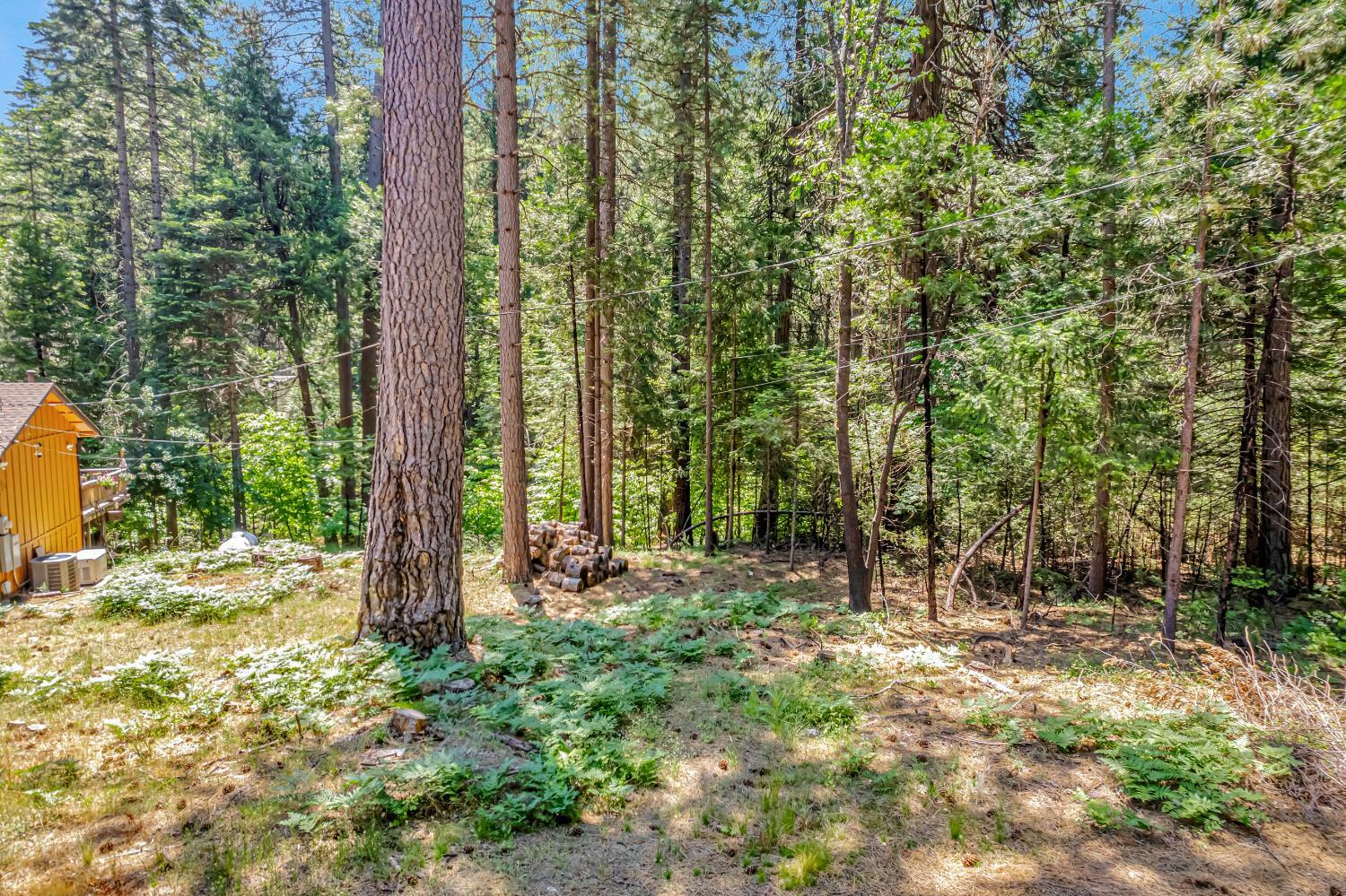 Property Photo: 6134 Kokanee Lane CA 95726