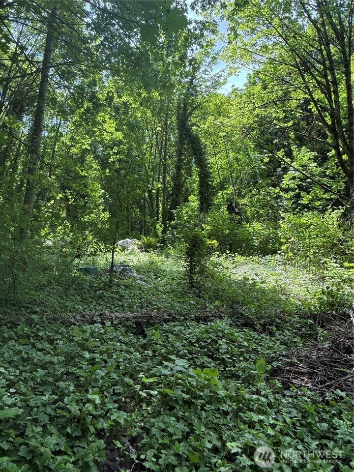13501  42nd Avenue S  Tukwila WA 98168 photo