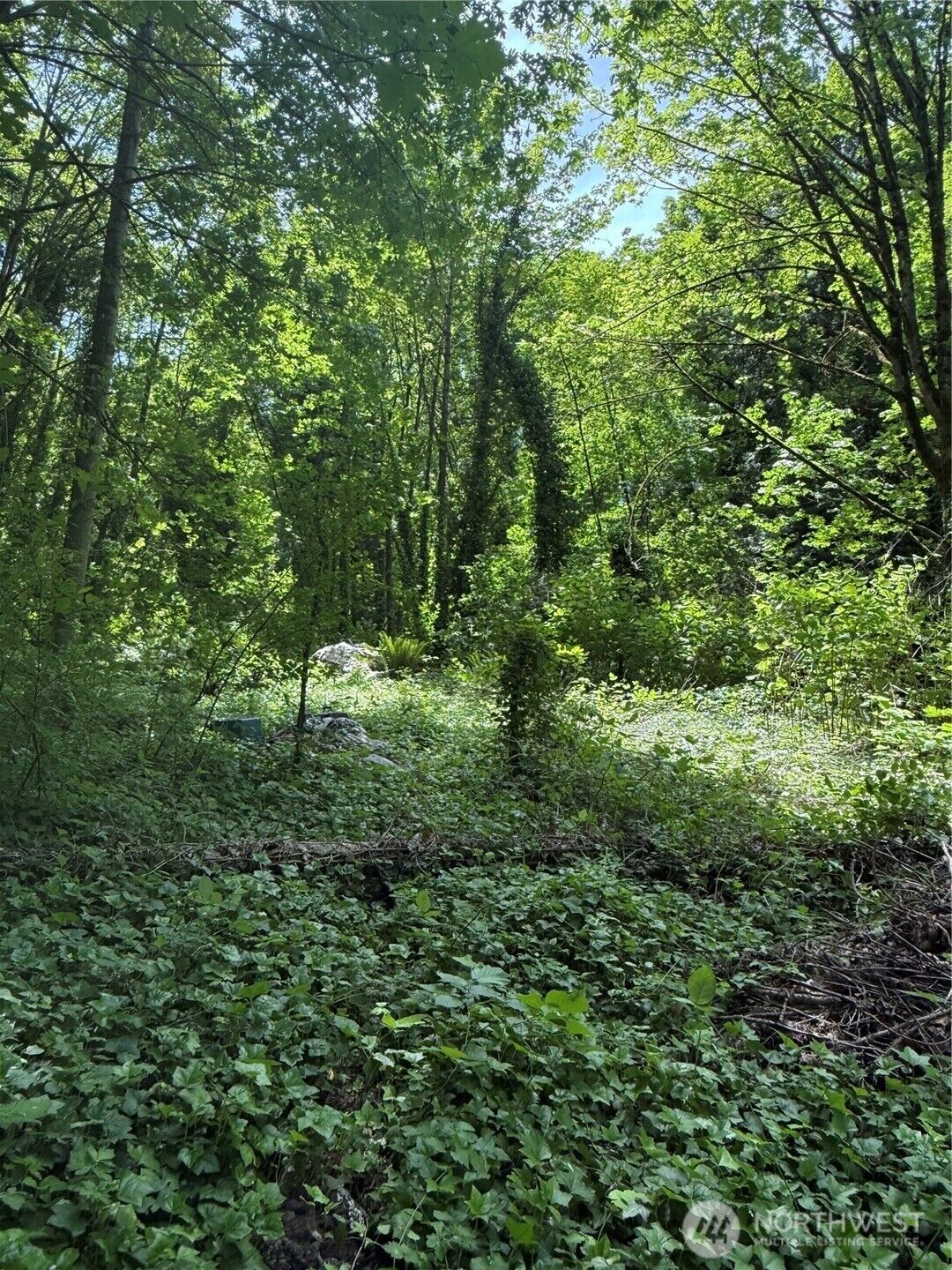 Property Photo: 13501 42nd Avenue S WA 98168