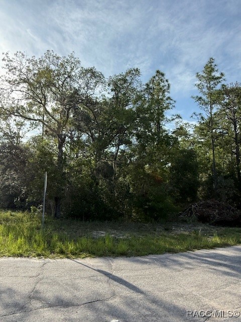 Property Photo: 9584 N Gaillardia Way FL 34434