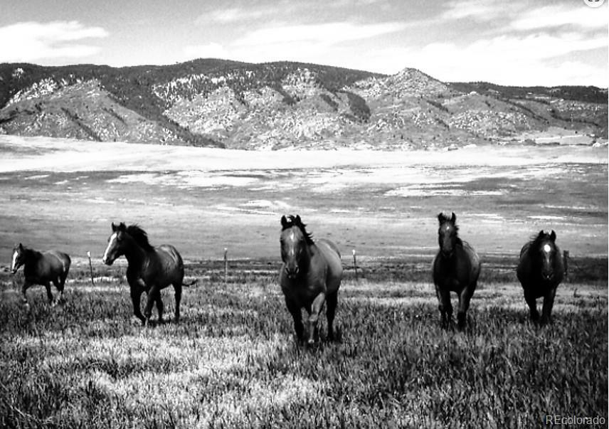 Property Photo: 5499 Remuda Ranch CO 80135
