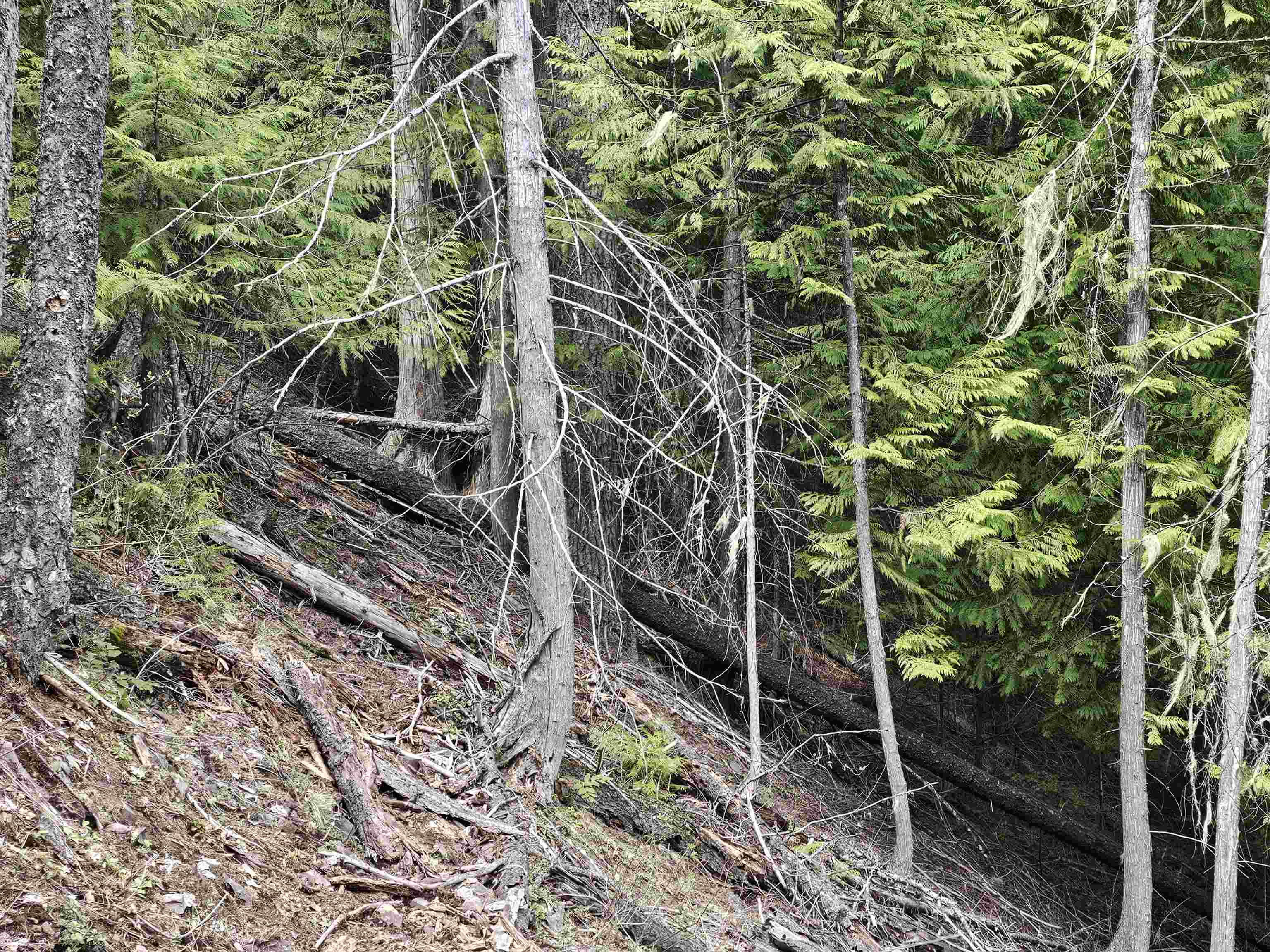 Property Photo: Nka Marshall Lake Rd WA 99156