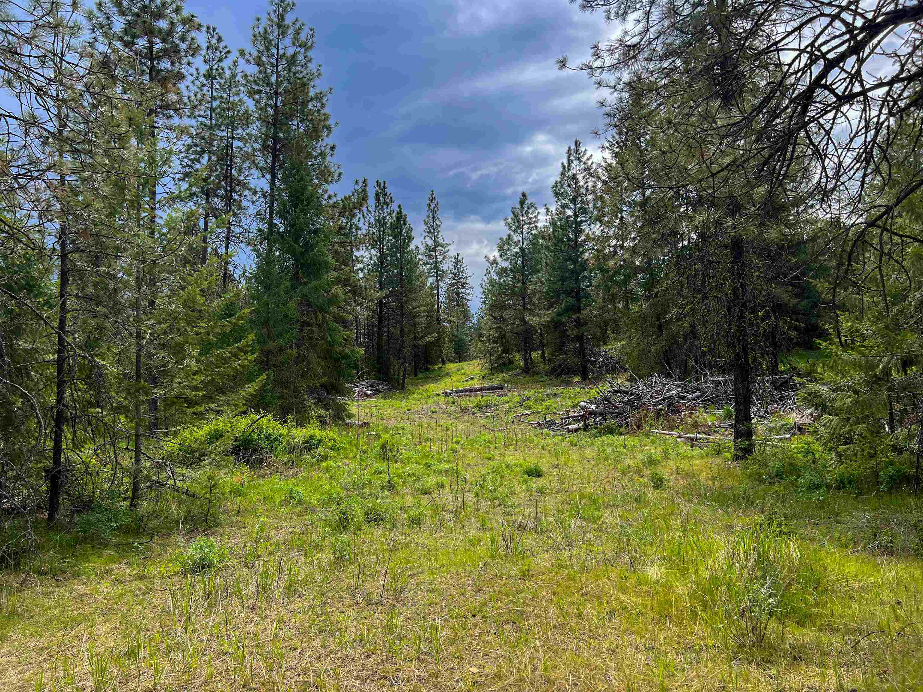 Property Photo: 20xx Clemons Rd WA 99167