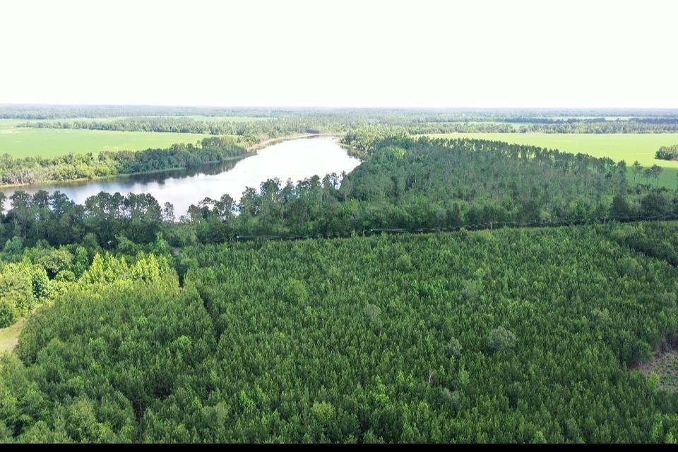Xx Hardaway Highway  Gretna FL 32332 photo