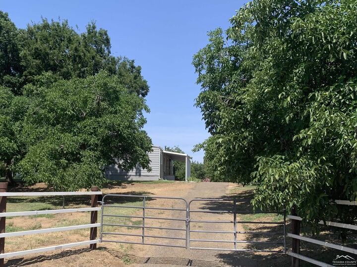 820 Paynes Creek Road  Red Bluff CA 96080 photo